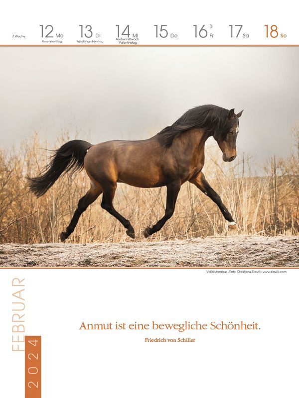 Bild: 9783731870173 | Literaturkalender Pferde 2024 | Korsch Verlag | Kalender | 54 S.