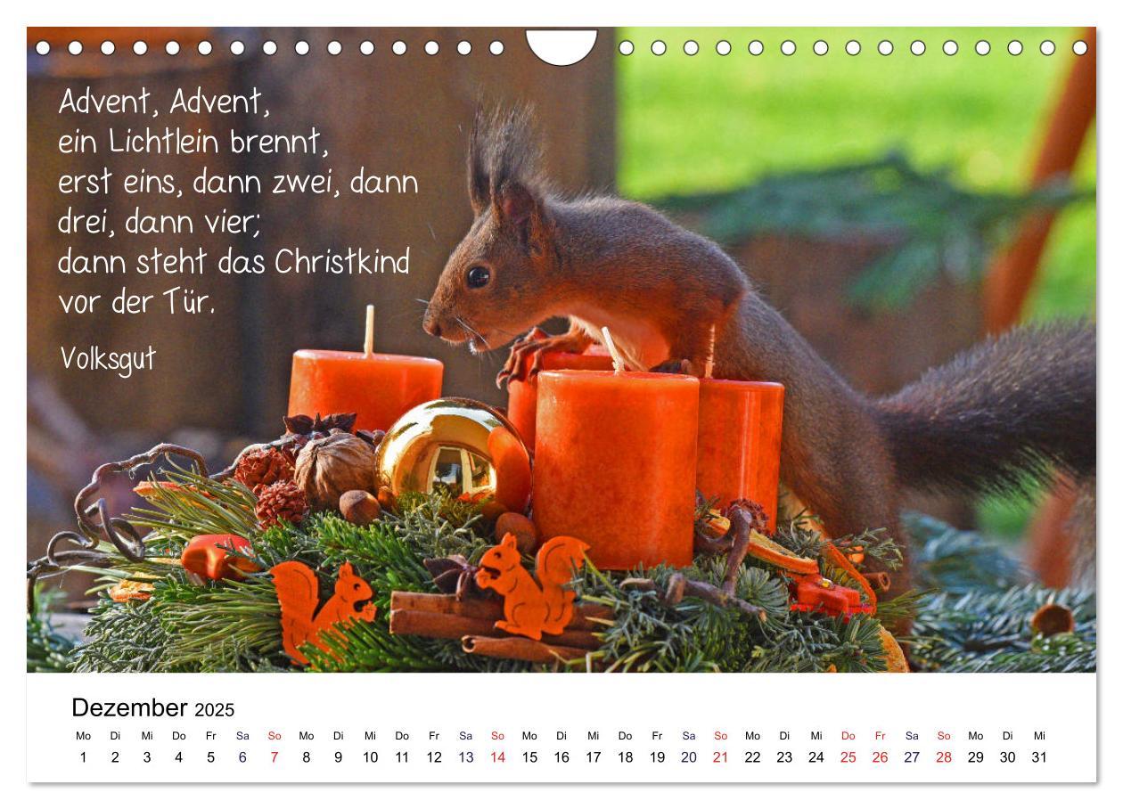 Bild: 9783435434244 | Der literarische Eichhörnchen-Kalender (Wandkalender 2025 DIN A4...