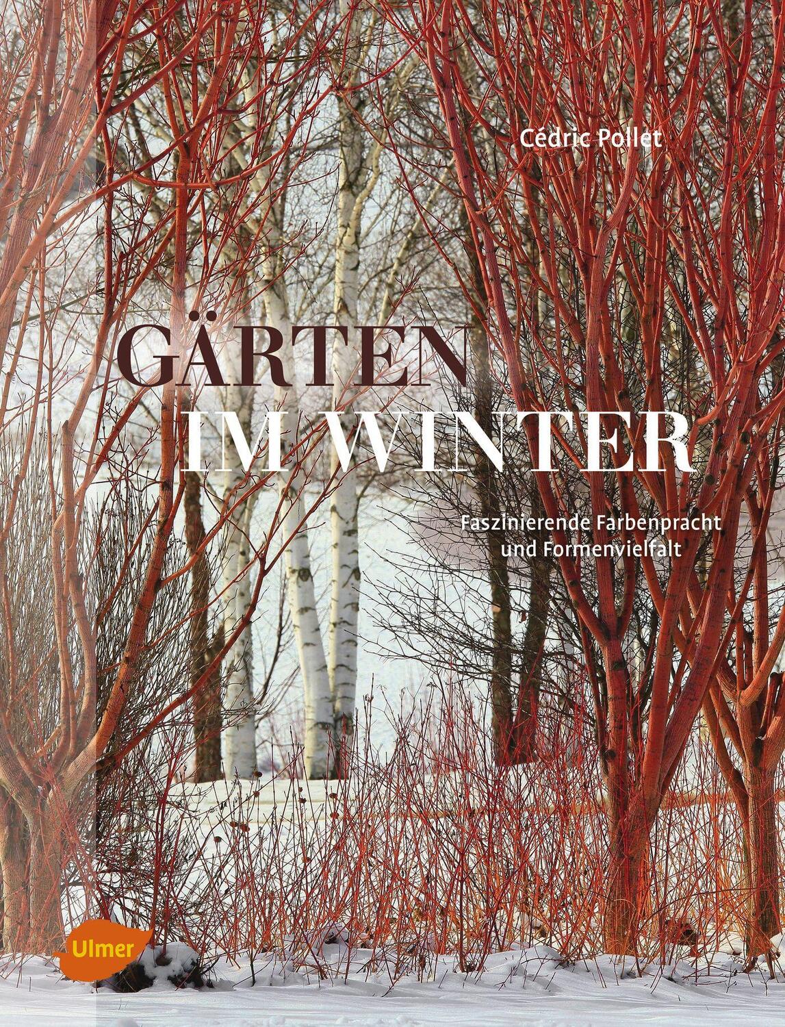 Cover: 9783818601072 | Gärten im Winter | Faszinierende Farbenpracht und Formenvielfalt