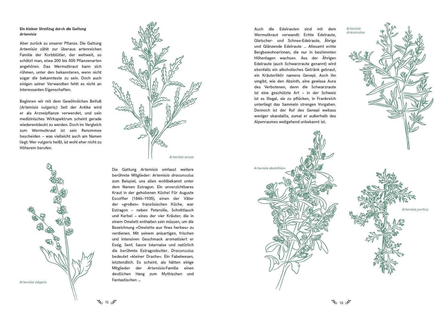 Bild: 9783039640126 | Absinth | Reise ins Land der grünen Fee | Tania Brasseur Wibaut | Buch