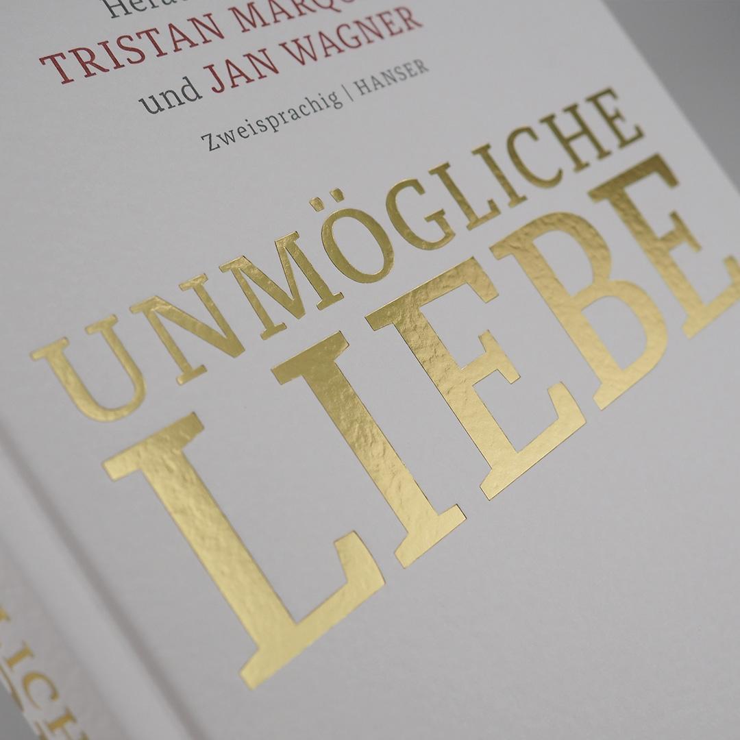 Bild: 9783446256545 | Unmögliche Liebe | Jan Wagner (u. a.) | Buch | 304 S. | Deutsch | 2017