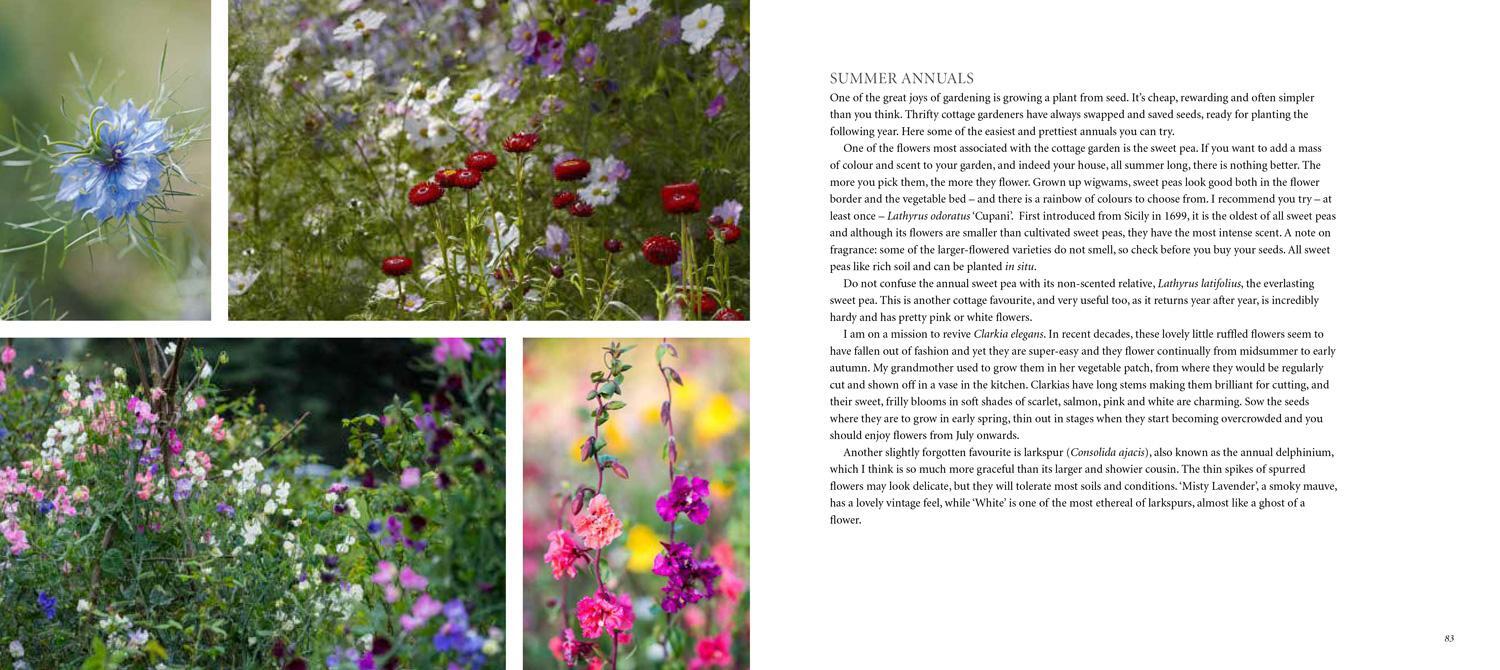 Bild: 9781911358923 | Cottage Gardens | Claire Masset (u. a.) | Buch | Gebunden | Englisch