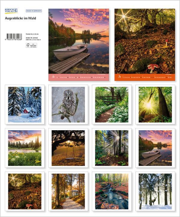 Bild: 9783731879268 | Augenblicke im Wald 2025 | Verlag Korsch | Kalender | Spiralbindung