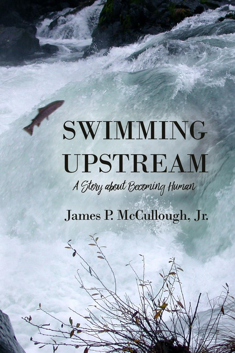 Cover: 9781645301561 | Swimming Upstream | A Story about Becoming Human | Mccullough | Buch