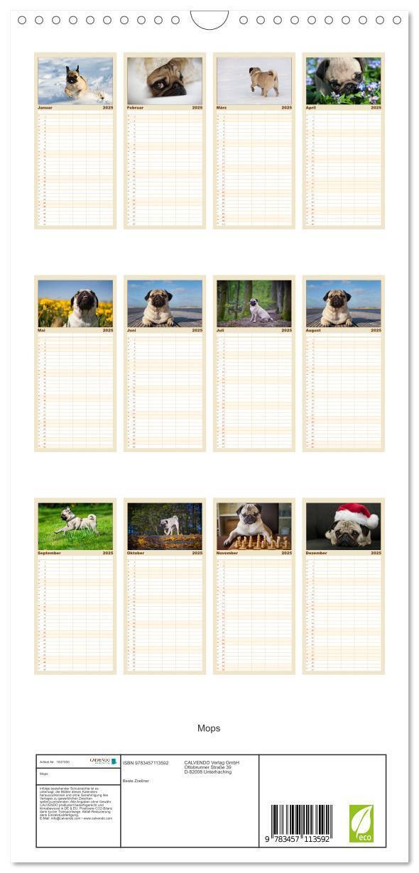 Bild: 9783457113592 | Familienplaner 2025 - Mops mit 5 Spalten (Wandkalender, 21 x 45 cm)...