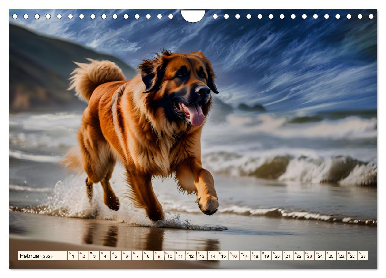 Bild: 9783457244487 | Leonberger - der zahme Löwe (Wandkalender 2025 DIN A4 quer),...