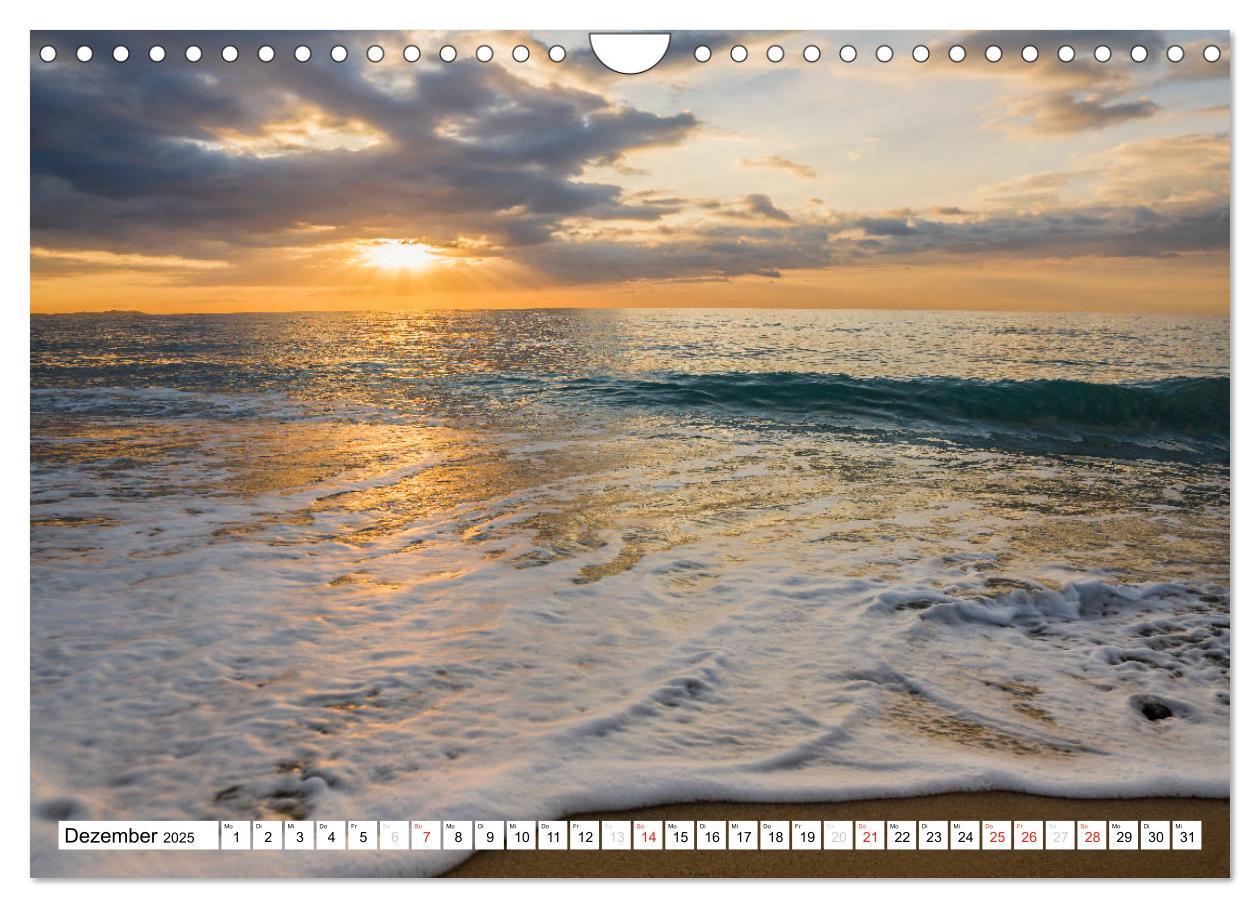 Bild: 9783435474622 | Miami Platja - Unvergessliche Meerblicke (Wandkalender 2025 DIN A4...