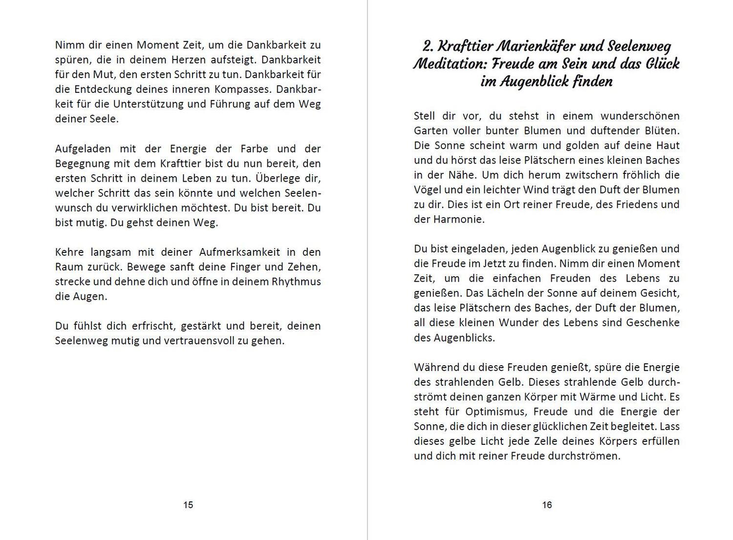 Bild: 9783967382938 | 52 Seelenweg und Krafttier Meditationen | Angelina Schulze | Buch