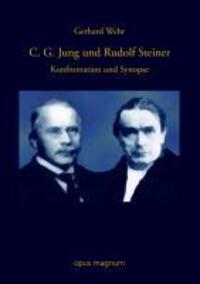 Cover: 9783939322825 | C. G. Jung und Rudolf Steiner | Konfrontation und Synopse | Wehr
