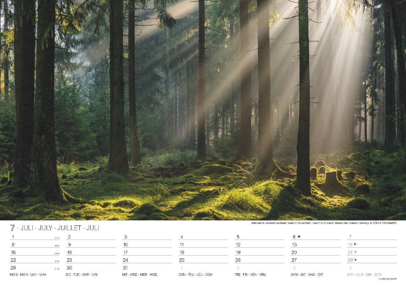 Bild: 4002725986702 | Malerische Wälder 2024 - Wand-Kalender - 42x29,7 - Wald - Natur | 2024