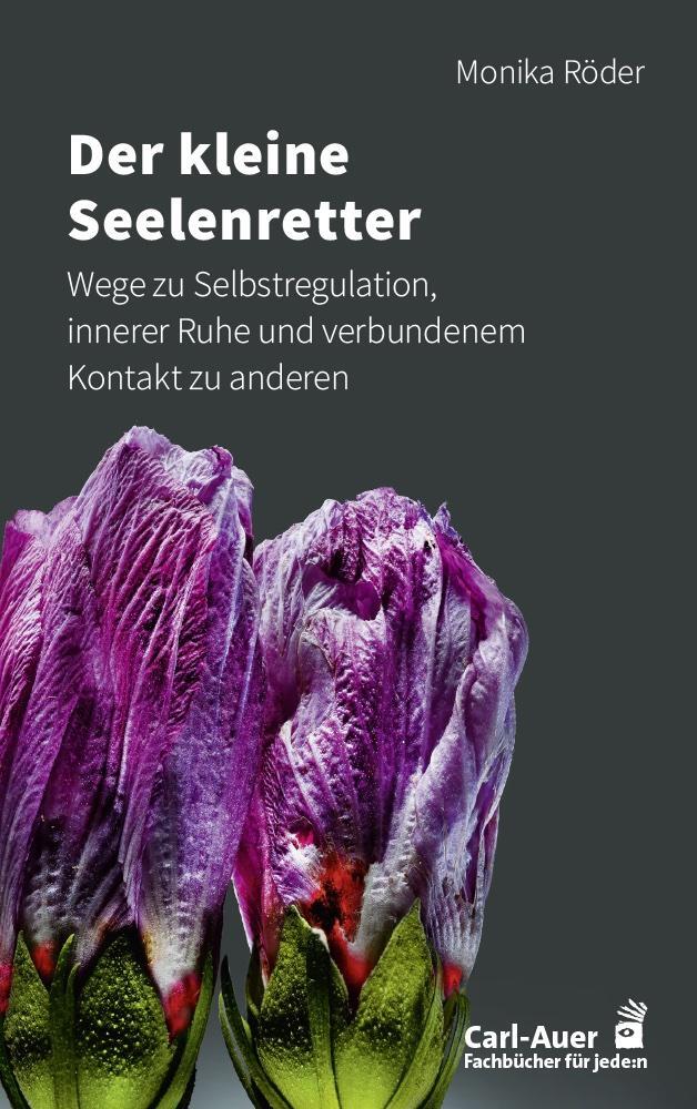 Cover: 9783849705268 | Der kleine Seelenretter | Monika Röder | Taschenbuch | 242 S. | 2024
