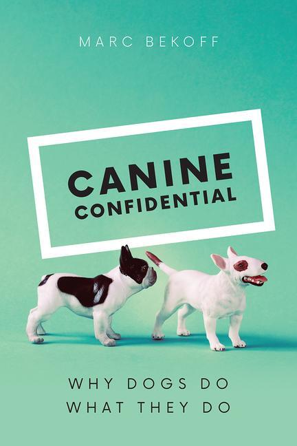 Cover: 9780226433035 | Canine Confidential | Why Dogs Do What They Do | Marc Bekoff | Buch