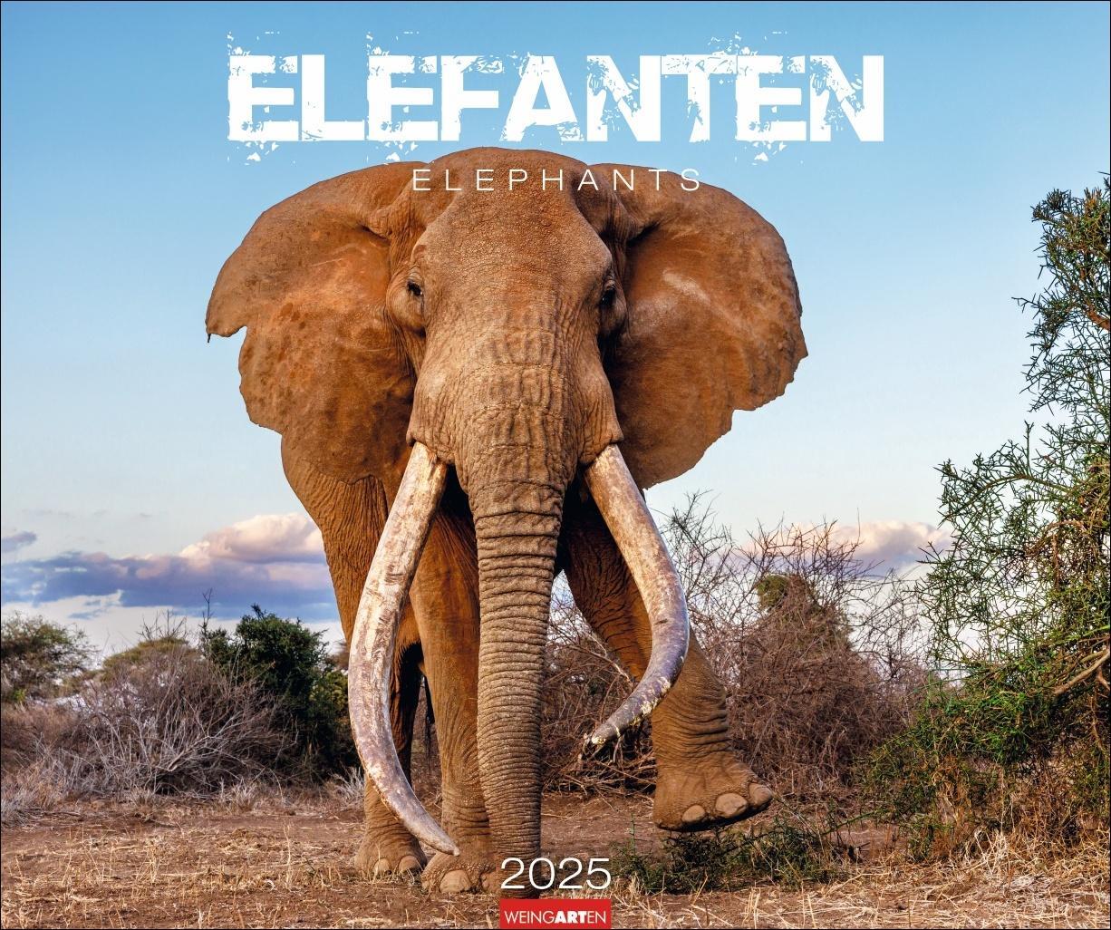 Cover: 9783839900284 | Elefanten Kalender 2025 | Kalender | Spiralbindung | 14 S. | Deutsch