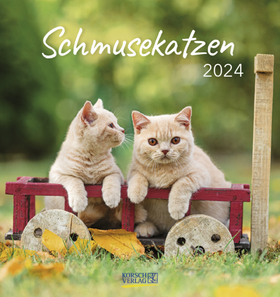 Cover: 9783731869535 | Schmusekatzen 2024 | aufstellbarer Postkartenkalender | Korsch Verlag