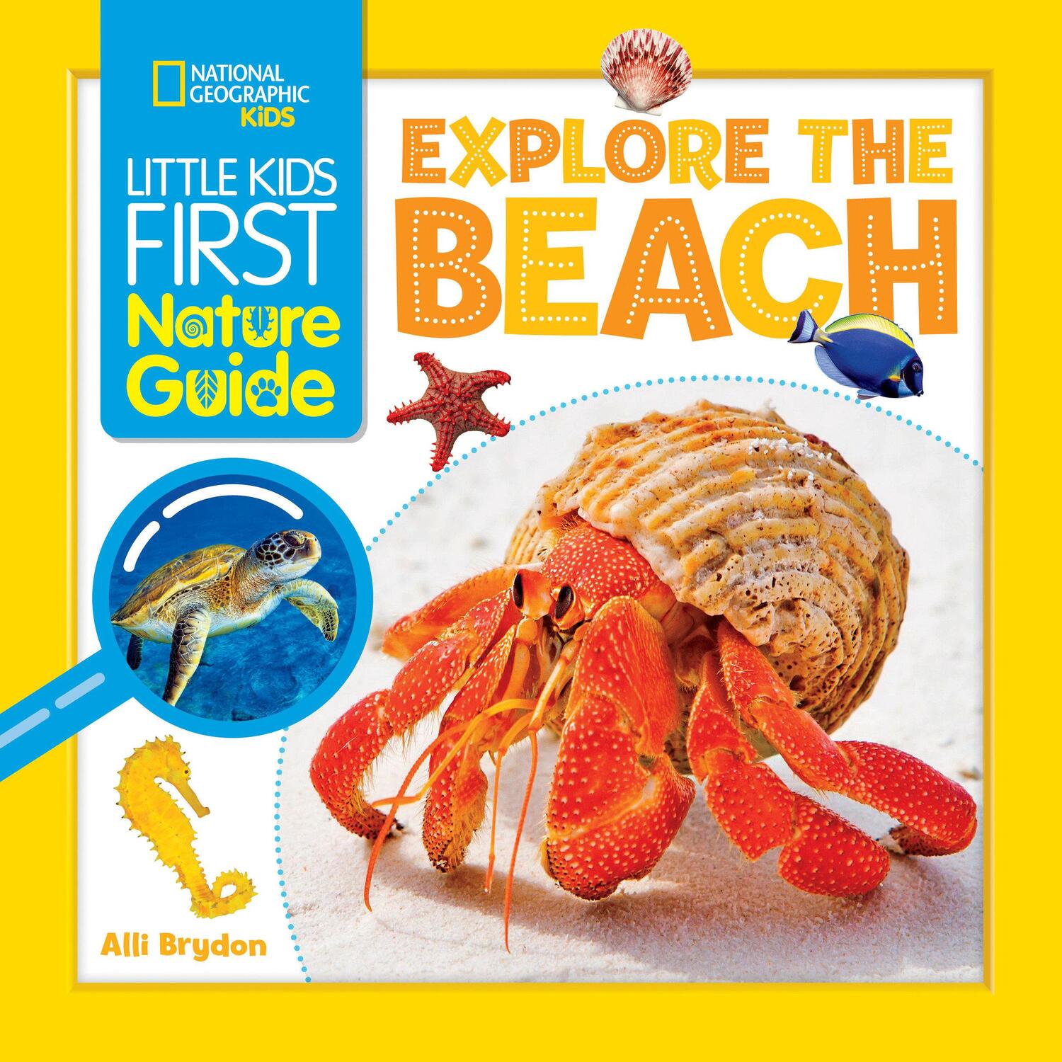 Cover: 9781426373688 | Explore the Beach | Alli Brydon (u. a.) | Taschenbuch | Englisch