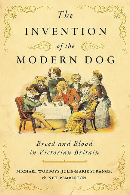 Cover: 9781421443294 | The Invention of the Modern Dog: Breed and Blood in Victorian Britain