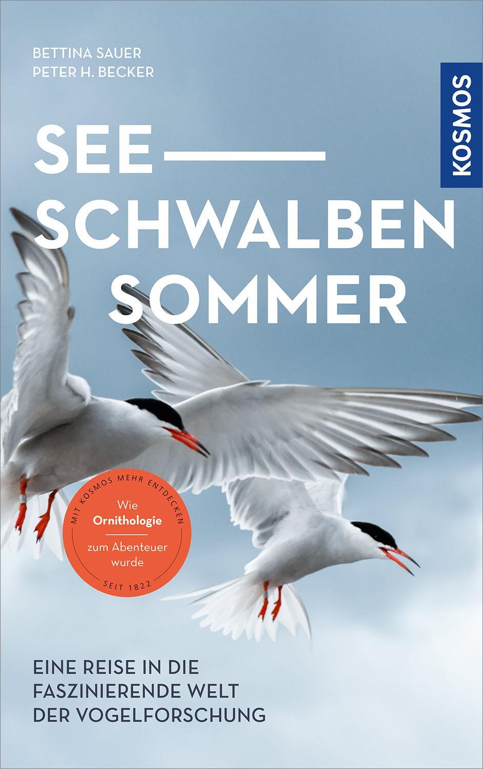 Cover: 9783440170724 | Seeschwalbensommer | Bettina Sauer (u. a.) | Taschenbuch | Deutsch