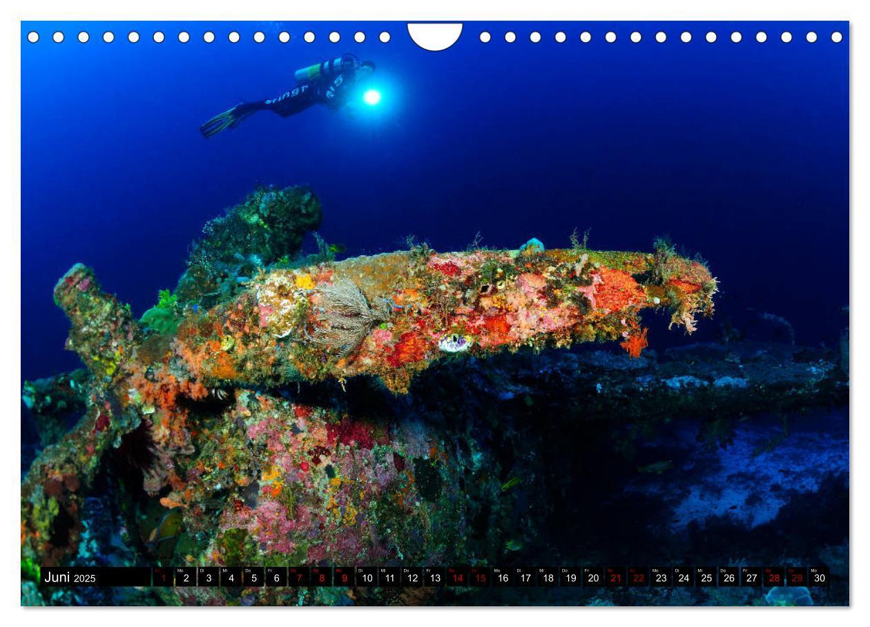 Bild: 9783435397976 | Raja Ampat - Faszinierende Unterwasserwelt (Wandkalender 2025 DIN...