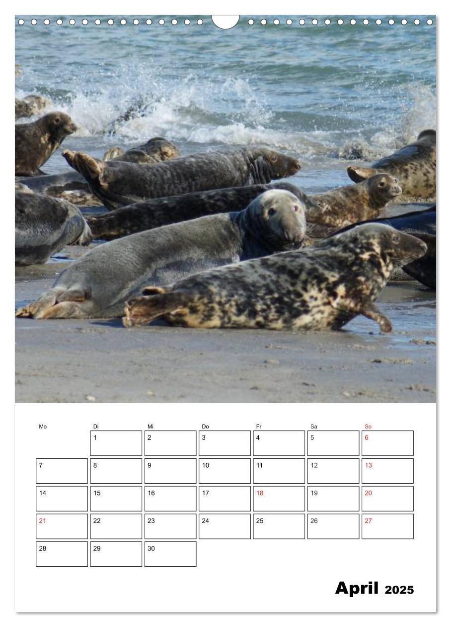 Bild: 9783457008584 | Einzigartige Insel Helgoland (Wandkalender 2025 DIN A3 hoch),...