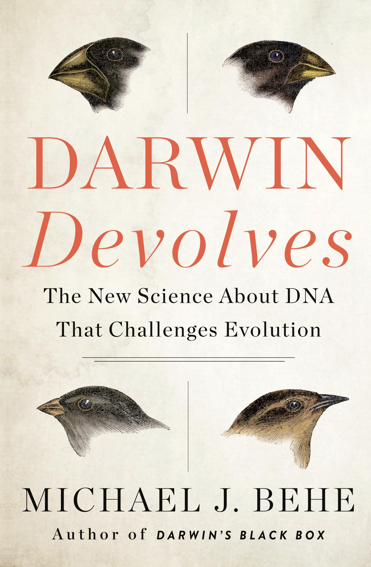 Cover: 9780062842664 | Darwin Devolves | Michael J Behe | Taschenbuch | Englisch | 2020