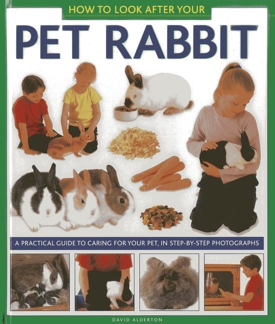 Cover: 9781843228349 | How to Look After Your Pet Rabbit | David Alderton | Taschenbuch