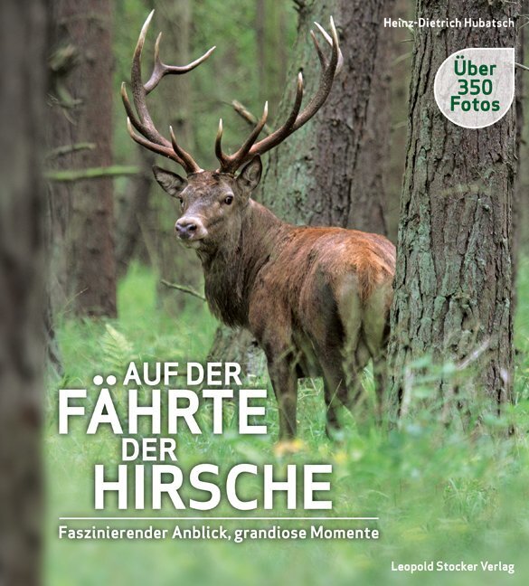 Cover: 9783702014872 | Auf der Fährte der Hirsche | Faszinierender Anblick, grandiose Momente