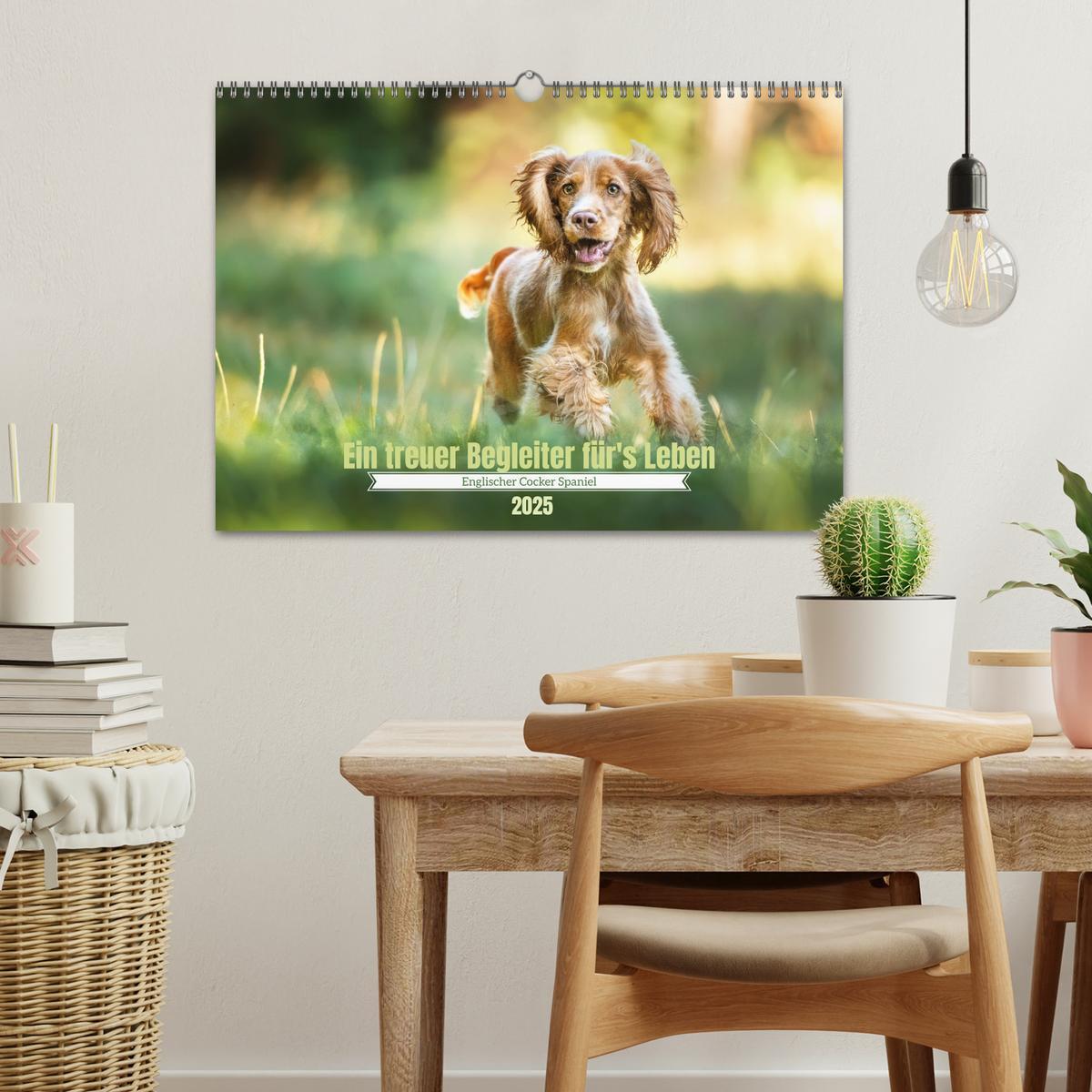 Bild: 9783383960314 | Englischer Cocker Spaniel (Wandkalender 2025 DIN A3 quer), CALVENDO...