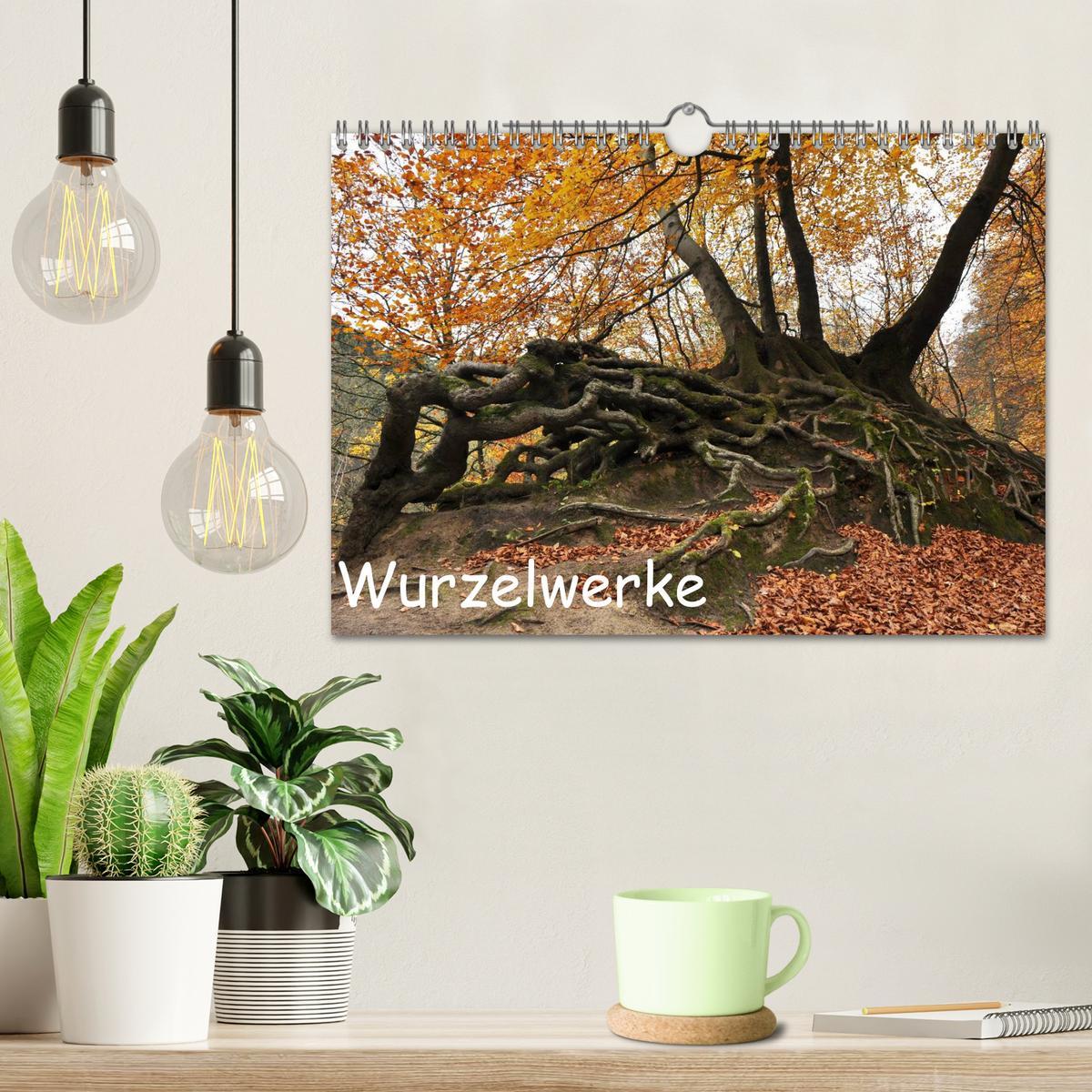 Bild: 9783435837137 | Wurzelwerke (Wandkalender 2025 DIN A4 quer), CALVENDO Monatskalender