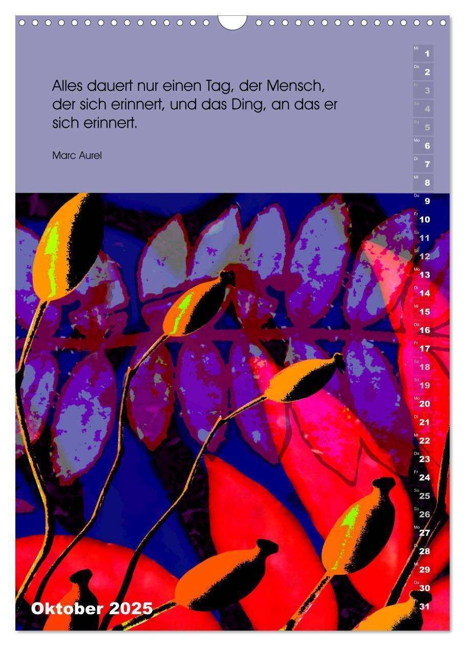 Bild: 9783435966028 | Philosophische Inspirationen Wandkalender 2025 (Wandkalender 2025...