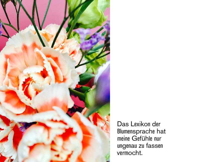 Bild: 9783962160036 | Blumen sind geil | Tine Melzer (u. a.) | Taschenbuch | 2020