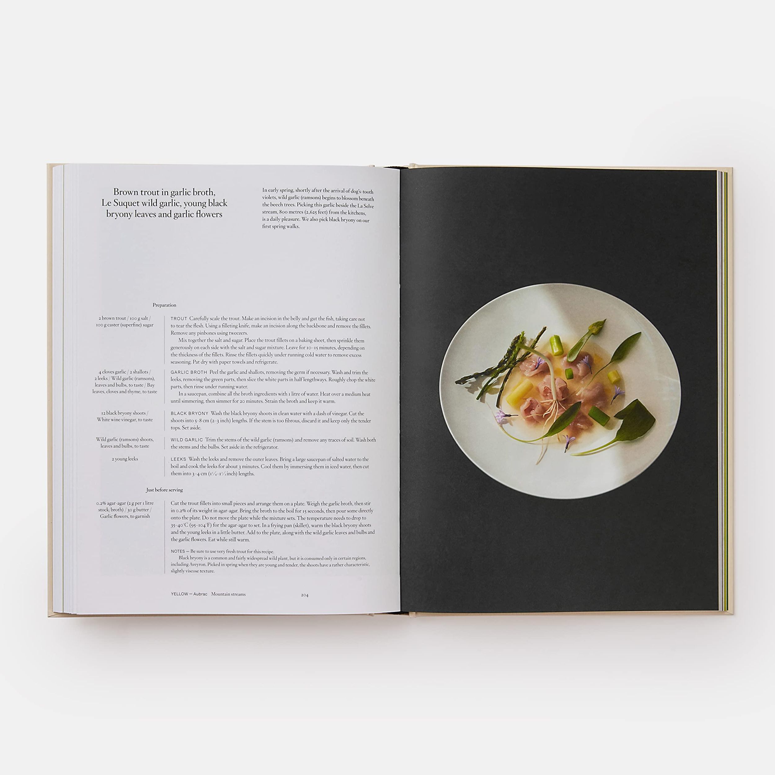 Bild: 9781838662769 | Bras | The Tastes of Aubrac | Sébastien Bras | Buch | Phaidon Press