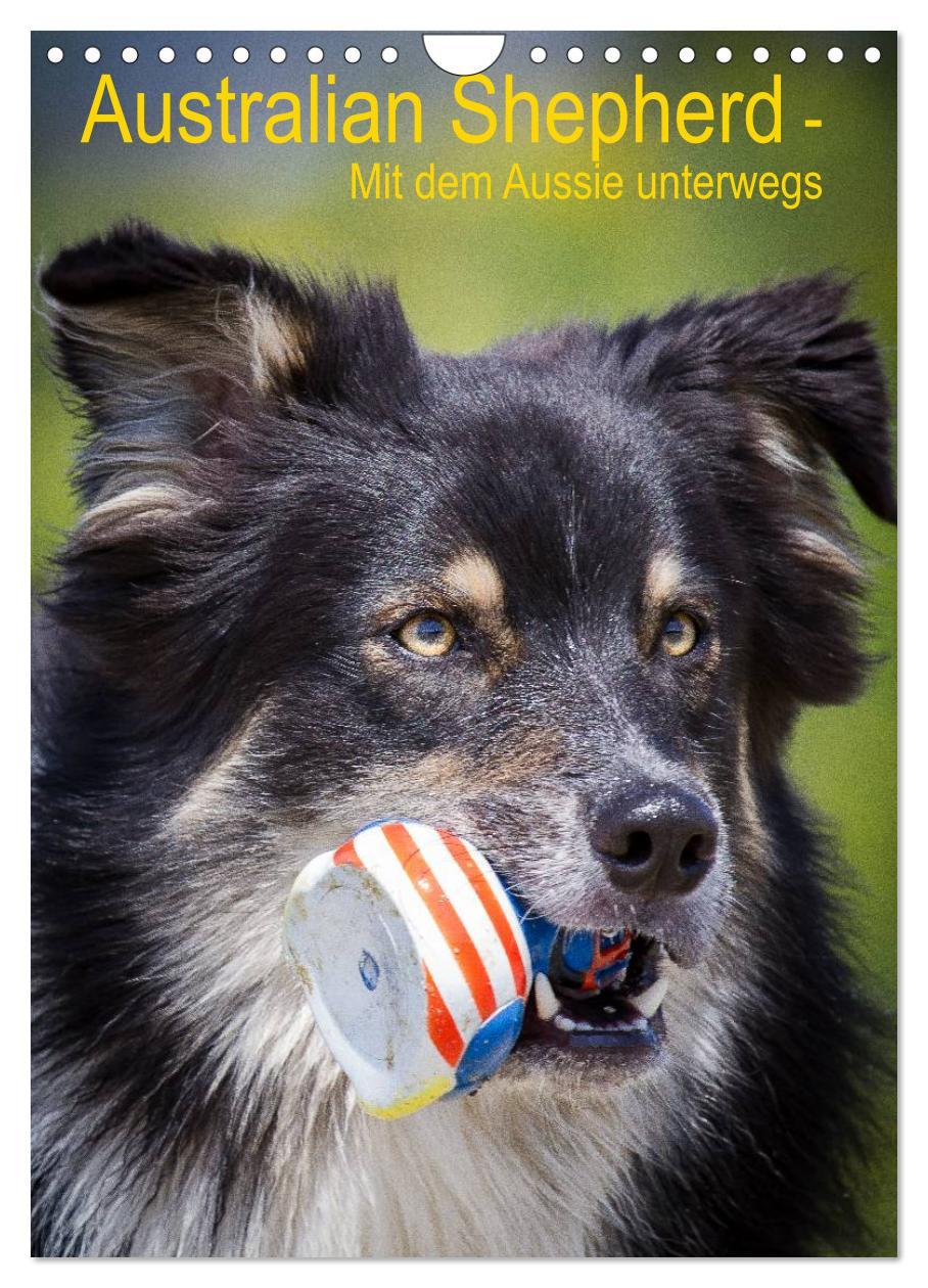 Cover: 9783457061046 | Australian Shepherd ¿ Mit dem Aussie unterwegs (Wandkalender 2025...