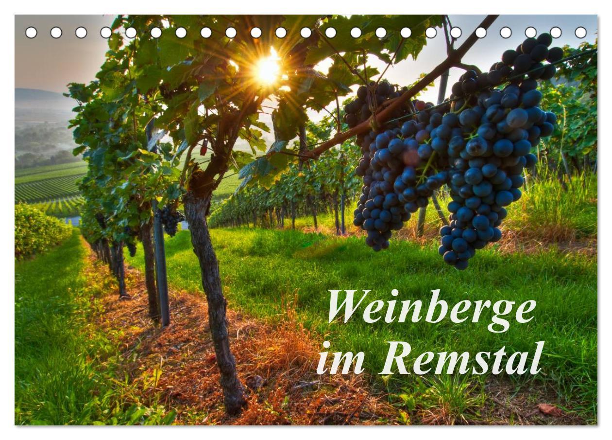 Cover: 9783435718405 | Weinberge im Remstal (Tischkalender 2025 DIN A5 quer), CALVENDO...