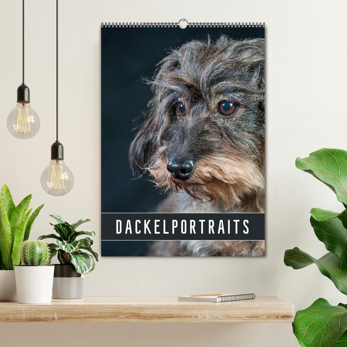 Bild: 9783435973354 | Dackelportraits (Wandkalender 2025 DIN A2 hoch), CALVENDO...