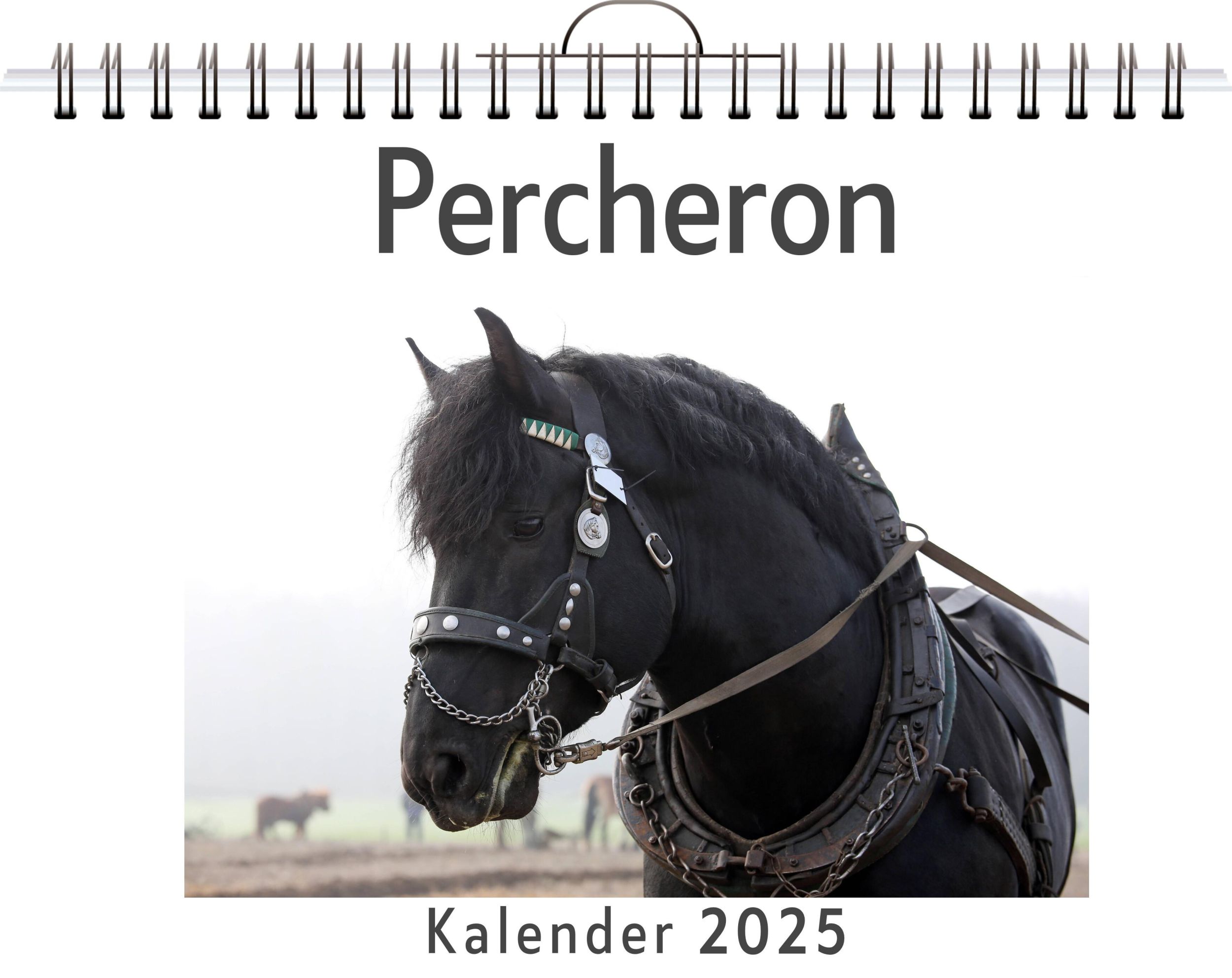 Cover: 9783759132130 | Percheron | David Maier | Kalender | Kalender | 14 S. | Deutsch