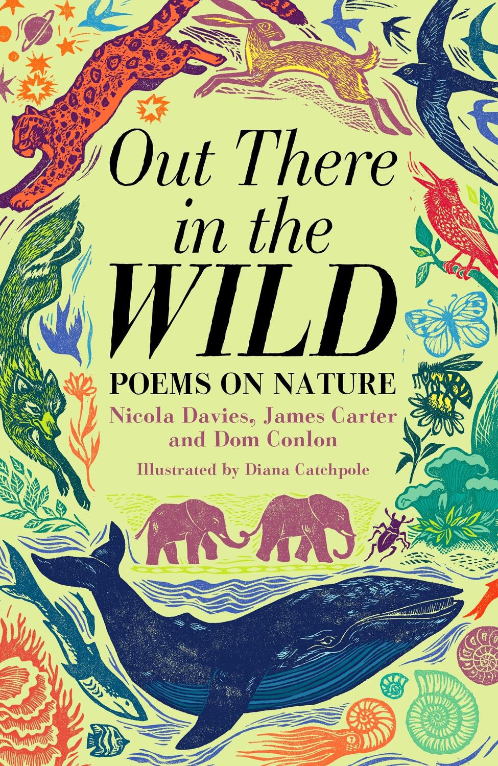 Cover: 9781035004065 | Out There in the Wild | Poems on Nature | Dom Conlon (u. a.) | Buch
