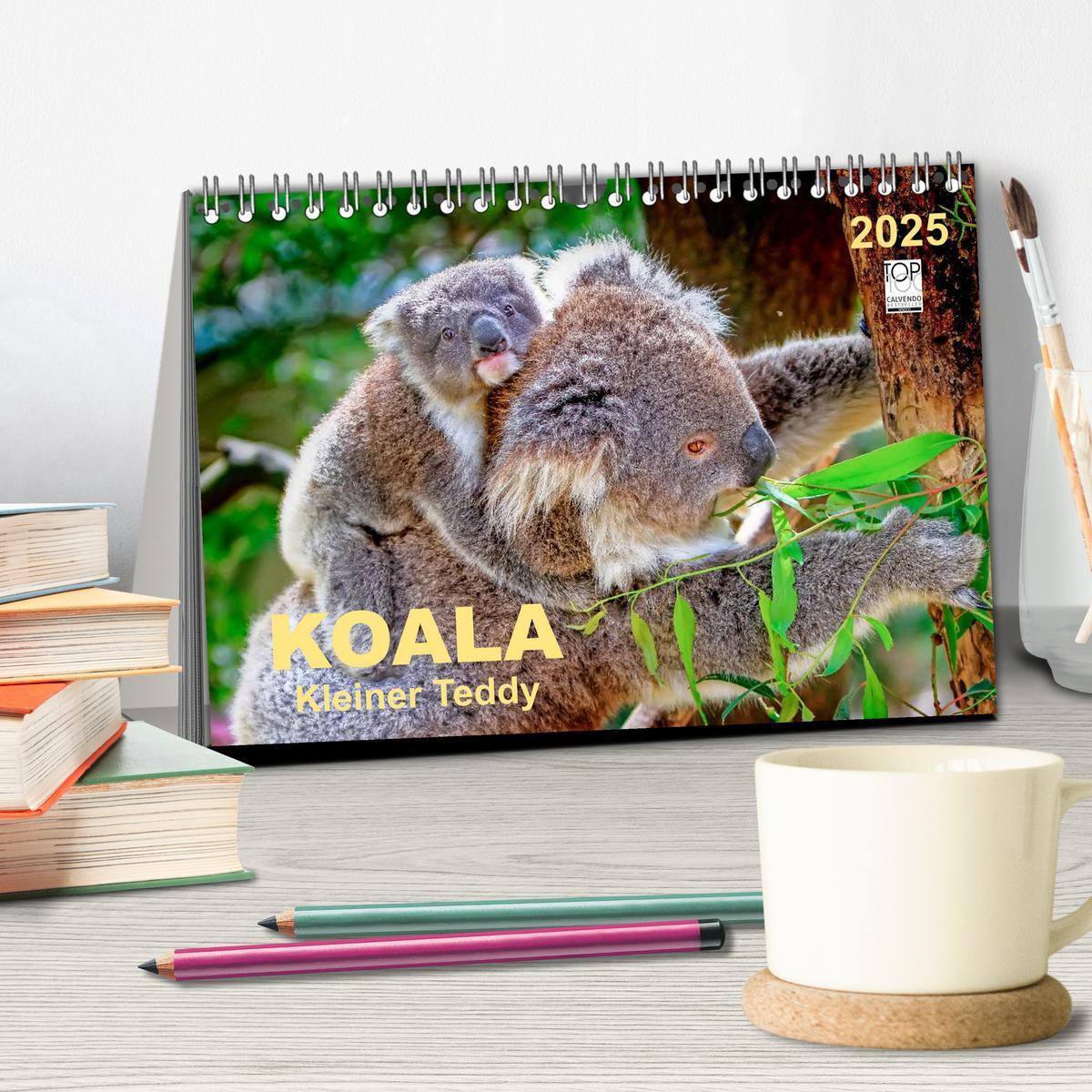 Bild: 9783435587407 | Koala - kleiner Teddy (Tischkalender 2025 DIN A5 quer), CALVENDO...