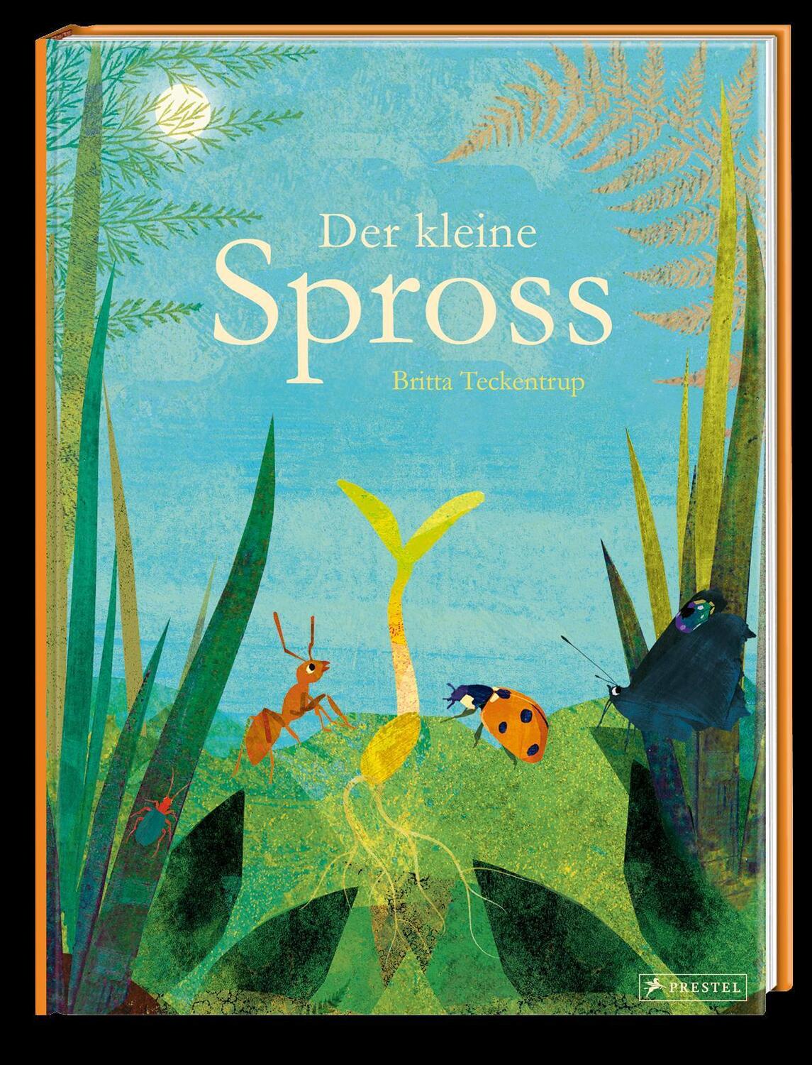 Bild: 9783791374307 | Der kleine Spross | Britta Teckentrup | Buch | 48 S. | Deutsch | 2020