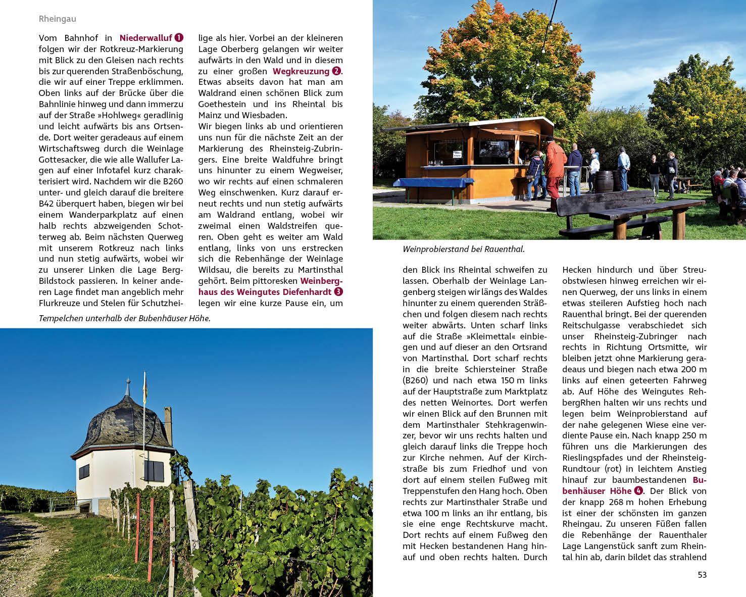 Bild: 9783763332908 | Wandern und Wein - Rheingau - Rheinhessen mit Bergstraße. | Buch