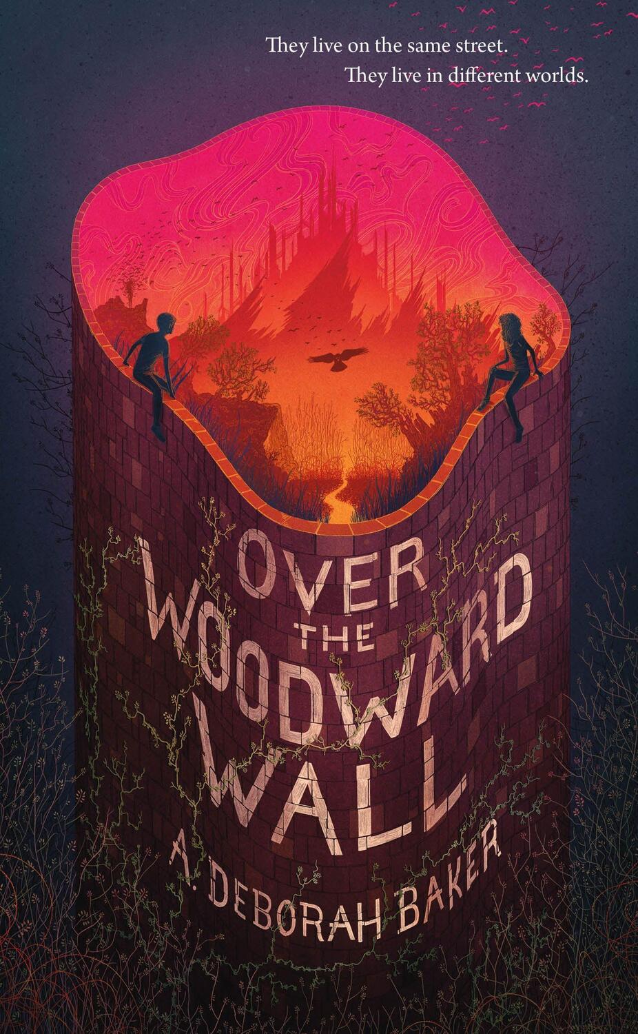 Cover: 9780765399274 | Over the Woodward Wall | A. Deborah Baker | Buch | Englisch | 2020