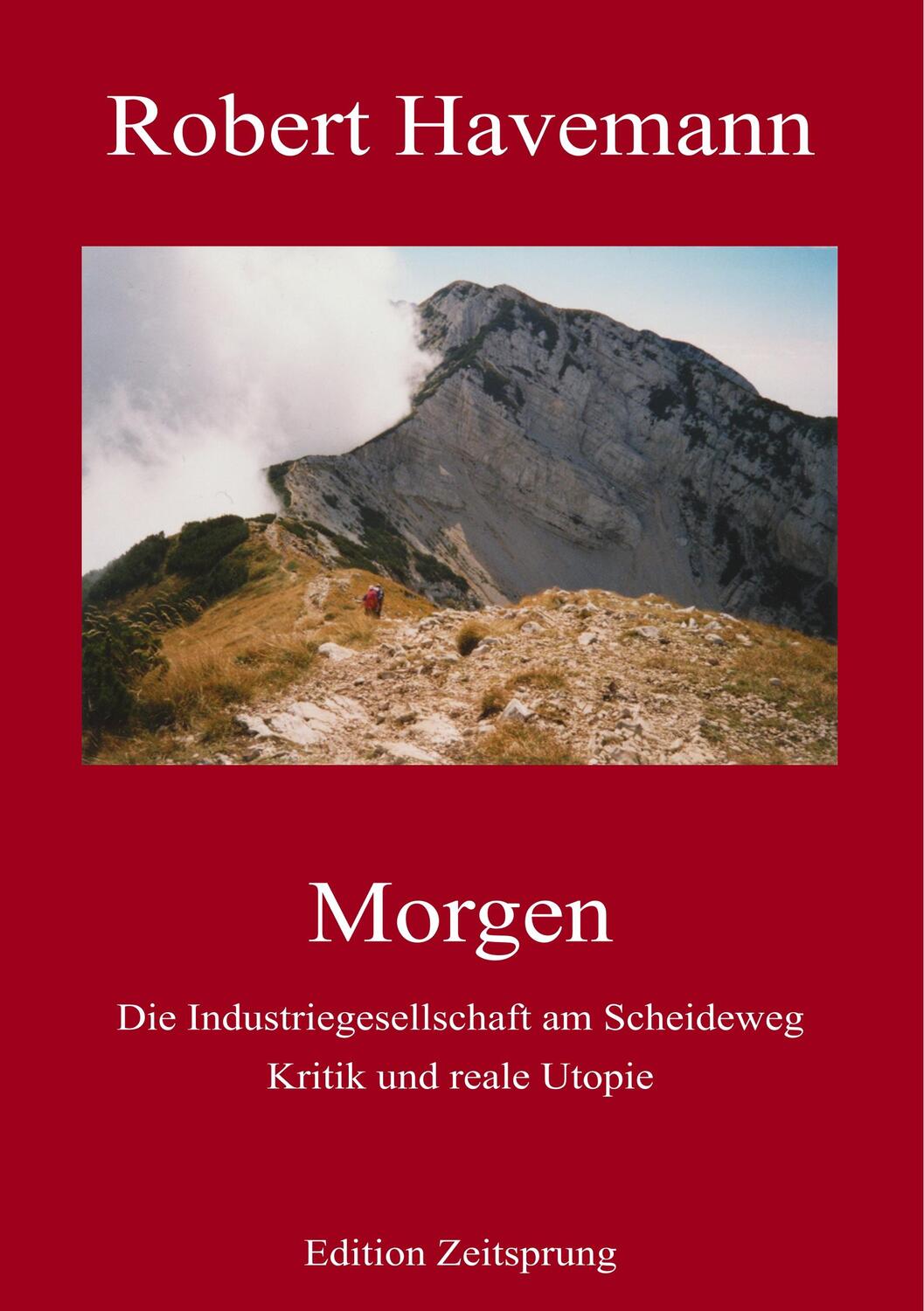 Cover: 9783741293856 | Morgen | Robert Havemann | Taschenbuch | Books on Demand