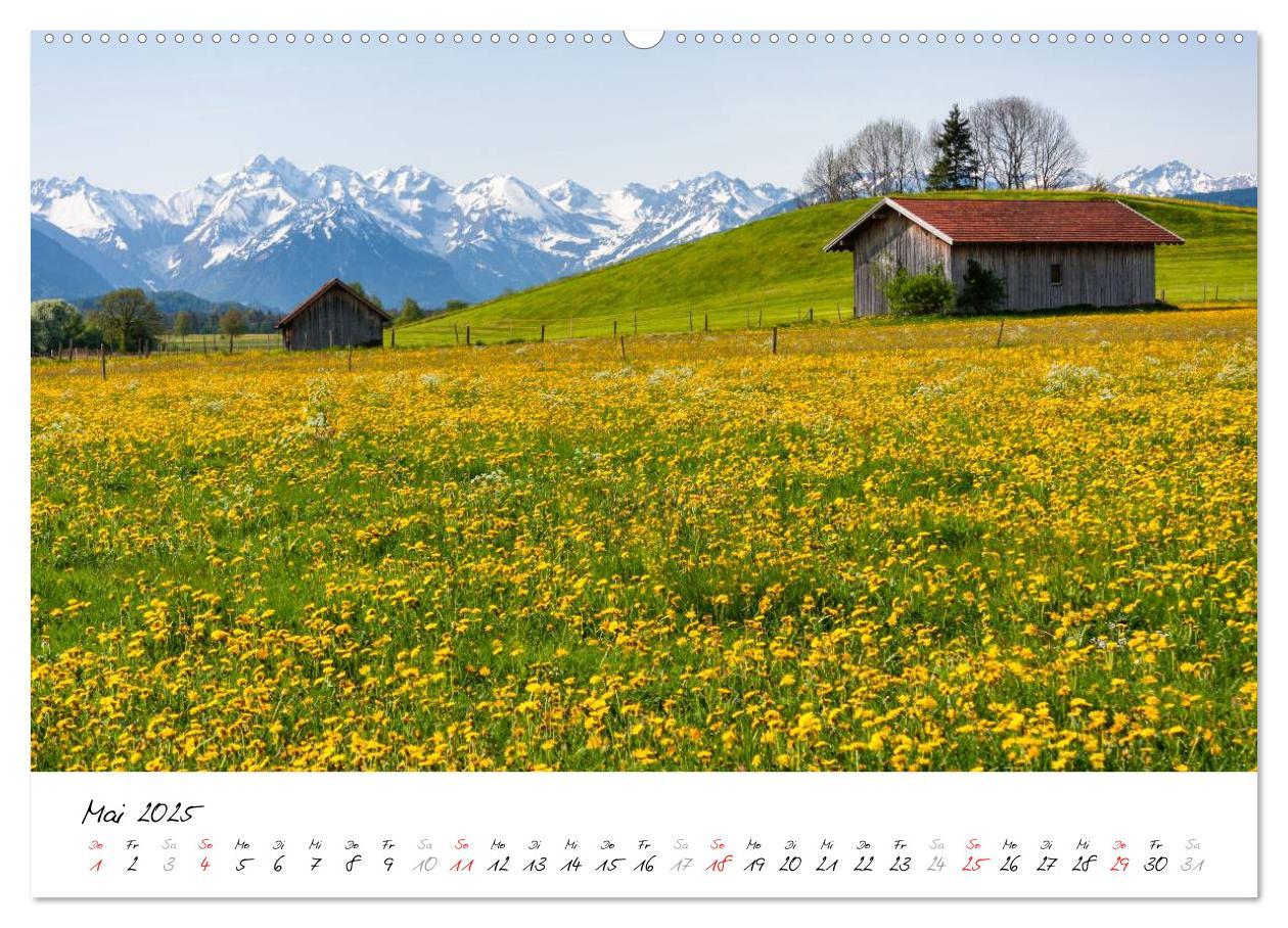 Bild: 9783435629565 | Oberallgäuer Landschaft (Wandkalender 2025 DIN A2 quer), CALVENDO...