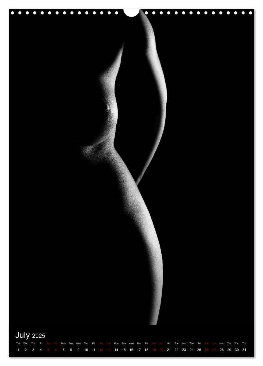 Bild: 9781325972951 | erotic shadows 2025 (Wall Calendar 2025 DIN A3 portrait), CALVENDO...