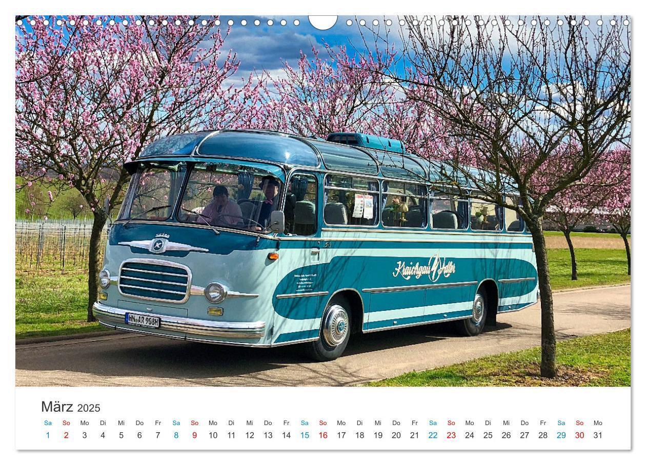 Bild: 9783383829925 | Omnibusse im Fokus (Wandkalender 2025 DIN A3 quer), CALVENDO...