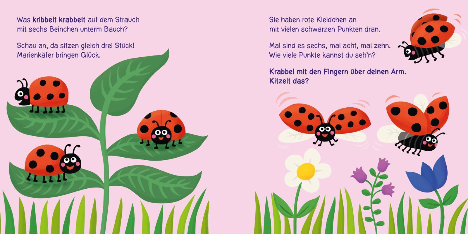 Bild: 9783551062857 | Baby Pixi (unkaputtbar) 160: Wer kribbelt und krabbelt denn da? | Buch