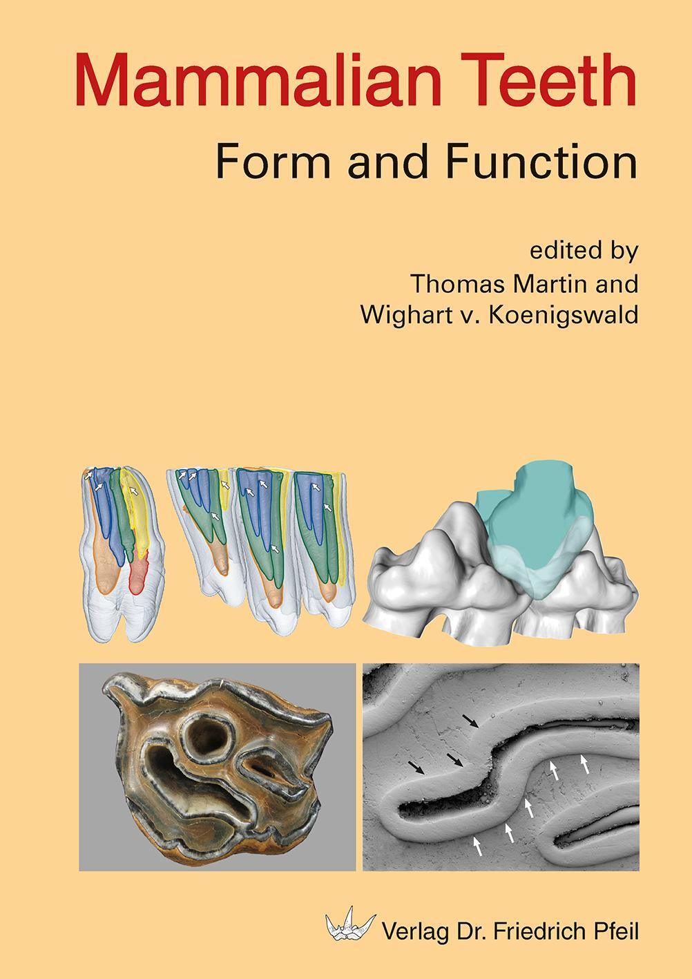 Cover: 9783899372663 | Mammalian Teeth - Form and Function | Thomas Martin (u. a.) | Buch