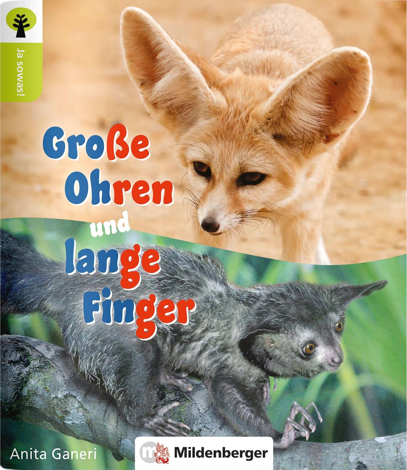 Cover: 9783619246106 | Ja sowas! Große Ohren und lange Finger | Anita Ganeri | Broschüre