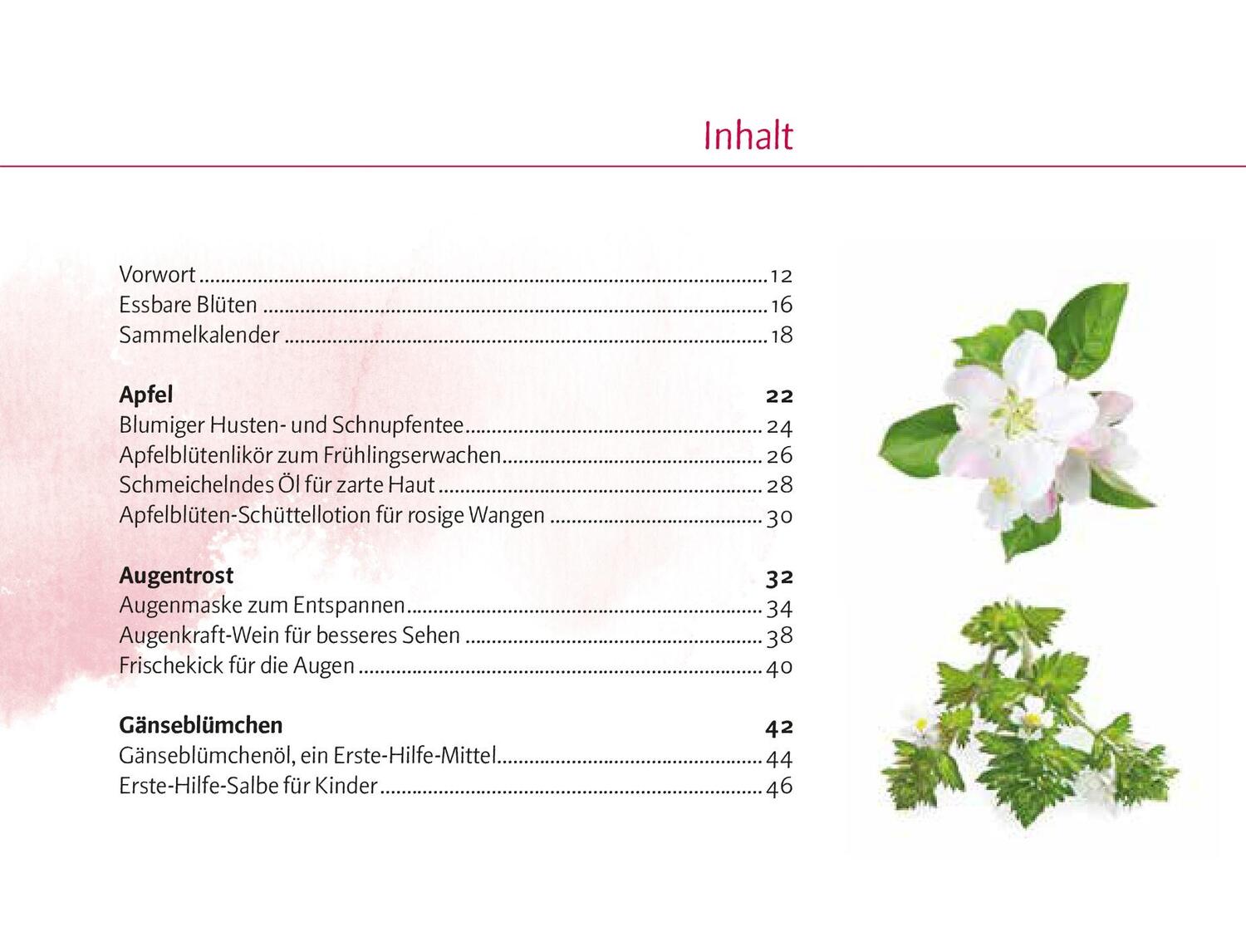 Bild: 9783702510008 | Verlockende Blüten | Doris Kern | Buch | Selbstgemachtes aus der Natur