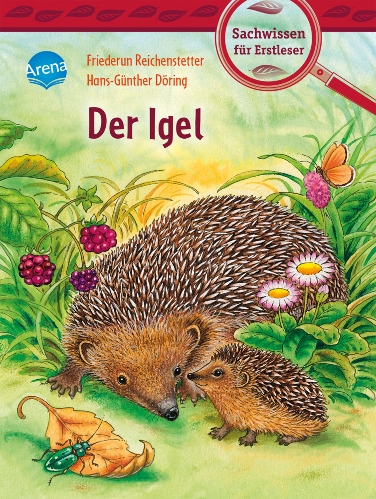 Cover: 9783401717241 | Der Igel | Friederun Reichenstetter | Buch | 40 S. | Deutsch | 2020