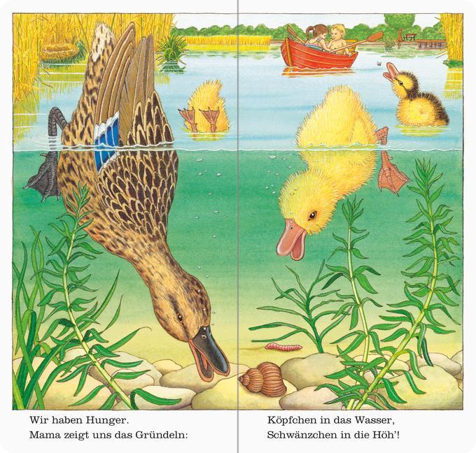 Bild: 9783473435487 | Ich bin die kleine Ente | Helmut Spanner | Buch | 24 S. | Deutsch